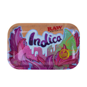 import placeholder for 7825095065845